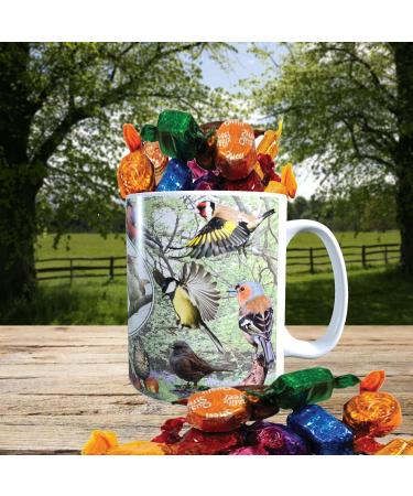 British Garden Birds Mug with Choice of Sweets Gift - Buy Online on GoSupps.com