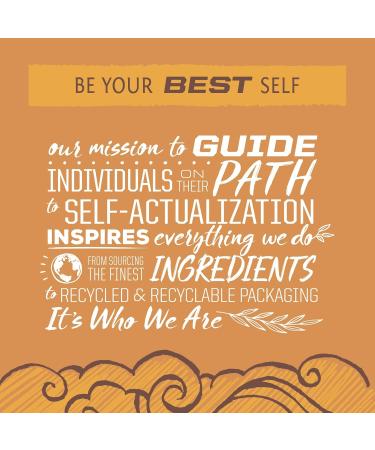  Sunwarrior Sunwarrior Classic Plus Chocolat - Buy Online on GoSupps.com