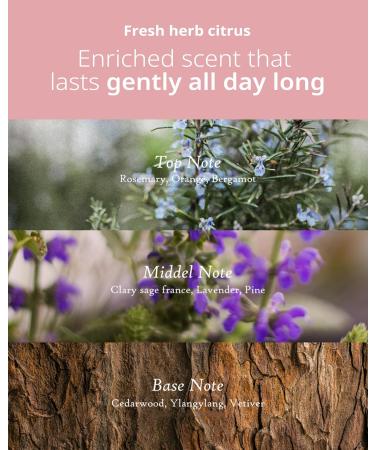 Aloe Cera Mist Serum | Vegan Hydrating Face Spray with Aloe Vera & Ceramide for Dry Skin | Refreshing Herbal Citrus Mist - 2.7 fl. oz - Buy Online on GoSupps.com