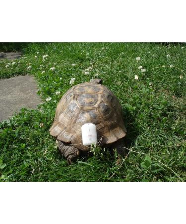 Girafus Pro-Track Goal Tracker for Cats & Dogs | Mini RF Tracker 8G with Battery | Locate Up to 4 Pets Indoors - Buy Online on GoSupps.com