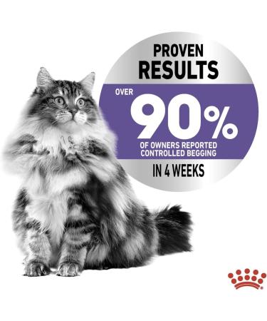 Royal Canin Appetite Control in Jelly Wet Adult Cat Food (12 x 85g) - Buy Online on GoSupps.com