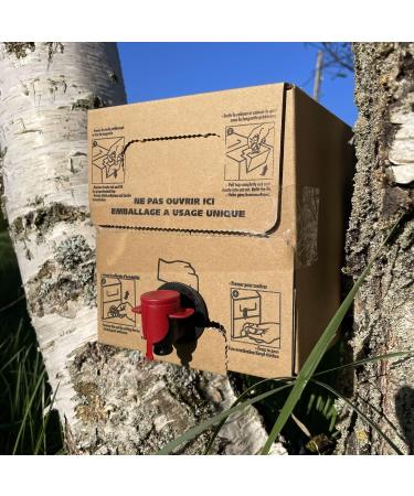 Organic birch sap - 100% natural detox drink - France - 5L bottle - Buy Online on GoSupps.com