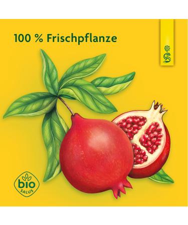 Schoenenberger Pomegranate Mother Juice - Organic 600ml (3x200ml Glass Bottles) - Dietary Supplement with 1.7% Polyphenol - Natural Clean Juice - Buy Online on GoSupps.com