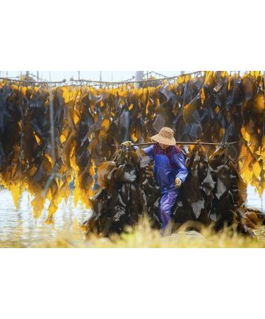 Akari Kombu Organic Seaweed Laminaria Digitata Dried Kelp - Buy Online on GoSupps.com