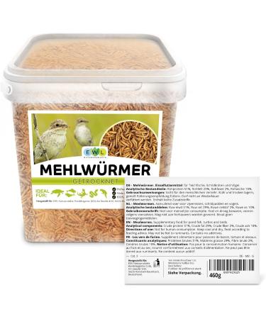 Premium Dried Flourworms Snack for Birds Fish Turtles & Reptiles - Nutritious Feed for Wild Birds Year-Round - Buy Online on GoSupps.com