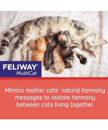 FELIWAY MultiCat Calming Pheromone 30 Day Refill - 6 Pack: Reduce Cat Conflict and Stress - Buy Online on GoSupps.com