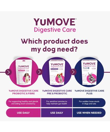 YuMOVE Digestive Care for Dogs | Probiotics for Sensitive Digestion | 120 Tablets - Buy Online on GoSupps.com
