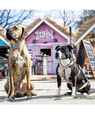 Max & Molly H-Harness - Sweet Pineapple | Premium Pet Gear for International Shipping - Buy Online on GoSupps.com