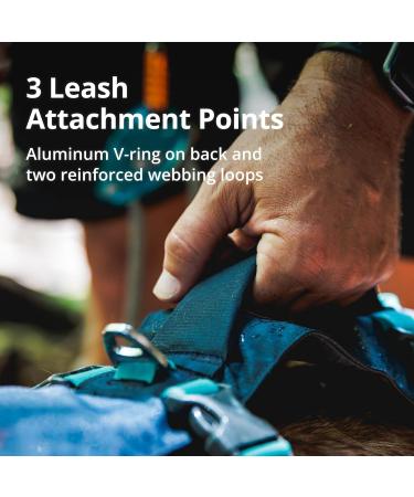 Luffwear Flagline Dog Harness - Adjustable Lightweight with Handle & Reinforced Strap - XX-Small Lichen Green (33-43cm) for International Shipping - Buy Online on GoSupps.com