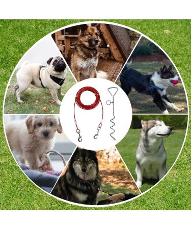 Intestinal Piral Peg with Leash - 15 Inch Tie-Out for Small to Medium Dogs | Durable Stainless Steel Floor Anchor for Courtyard & Camping (Red) - Buy Online on GoSupps.com