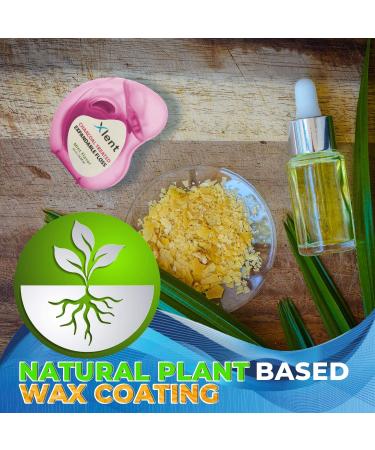 Activated Charcoal Floss with Xylitol and Plant Based Wax | Fresh Mint Flavor | 50 Meters Each (2 Count) - Buy Online on GoSupps.com