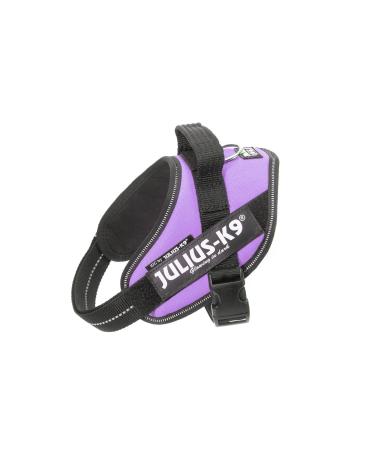 Julius-K9 Baby Boys IDC Powerharness Dog Harness Purple XS/Mini-Mini