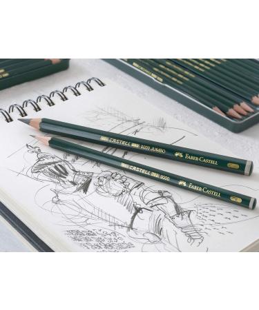 Faber-Castell 24-Piece Pitt Charcoal Set - High-Quality Charcoal Drawing Set - Buy Online on GoSupps.com