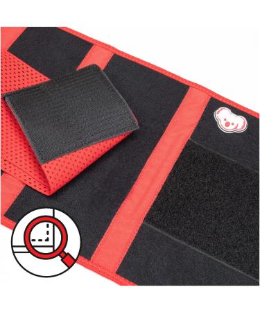 Koalaa Lumbar Back Support Belt | Spine Stabilization & Relief from Back Pain | Ischias & Iliosacral Support (S-XL) - Buy Online on GoSupps.com