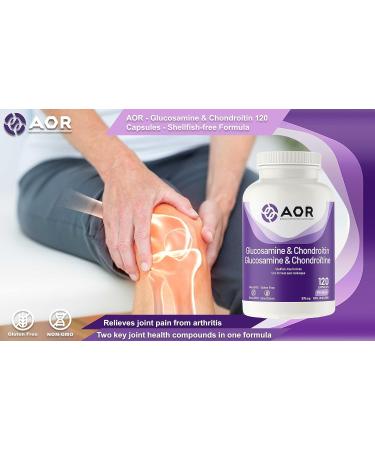 AOR - Glucosamine & Chondroitin Capsules 120 Counts Shellfish-Free Glucosamine Sulfate & Chondroitin Sulfate - Supports Joint Comfort and Mobility - Encourages Cartilage Health for Active Lifestyles - Buy Online on GoSupps.com