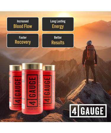 4 Gauge Explosive Preworkout | 30 Servings | Jitter-Free Nitric Oxide Booster | L-Citrulline L-Carnitine Creatine | No Artificial Ingredients | Fruit Blast - Buy Online on GoSupps.com
