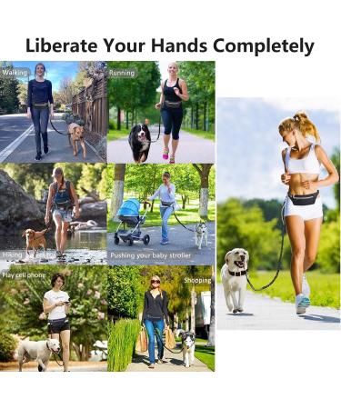 Hands Free Dog Lead for Running Walking Training Hiking Adjustable Running Lead for Dogs With Waist Pack Dual Handles Shock Absorbing Reflective Stitching Suitable for Medium and Large Dogs - Buy Online on GoSupps.com
