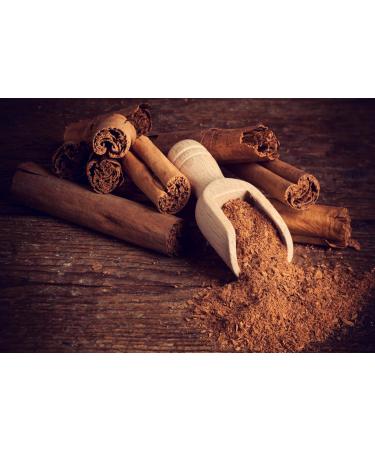 Buy Golisan Premium Ceylon Cinnamon Extract - High Dose 15ml | Boost Health & Wellness | International Shipping Available - Buy Online on GoSupps.com