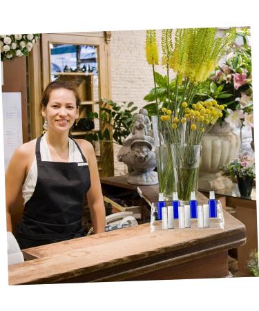 Angoily Storage Organizer 2pcs Cosmetic Storage Box Cosmetics Organizer Desktop Cosmetics Rack Makeup Box Eye Shadow Office 31X13X8.5CMx2pcs Transparentx2pcs - Buy Online on GoSupps.com