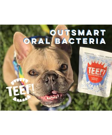 TEEF! Daily Dental Care Natural Dog Dental Water Additive | Award-Winning Protektin42 Formula | Tartar and Plaque Remover | No Brushing | 30 Day Supply - Buy Online on GoSupps.com