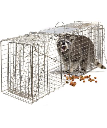 OxGord Live Animal Trap - Humane Catch & Release Large 32" Cage Best for Raccoon, O-possum, Stray Feral Cat, Rabbit & Rodents - No-Kill Bait Trapping Kit - Heavy Duty, 2-Door, Foldable 32" X 12" X 12"
