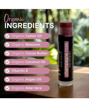 Hummingbird Radiance Natural and Organic Tinted Lip Balm Champagne Rose - Buy Online on GoSupps.com