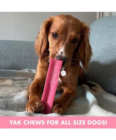 Floppy Ear Himalayan Yak Chews for Dogs - 100% Natural Yak Milk Dog Chew Rich in Protein & Calcium Long Lasting Chews Provides Healthy Teeth & Gums | Strawberry Flavour 3 Medium Chews strawberry medium size 60-80g (3 chews) - Buy Online on GoSupps.com