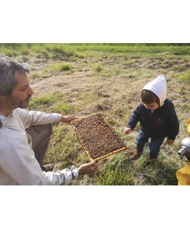 IO APE - Organic Summer Millefiori Honey 500 g - Italian honey from the Como region - Buy Online on GoSupps.com