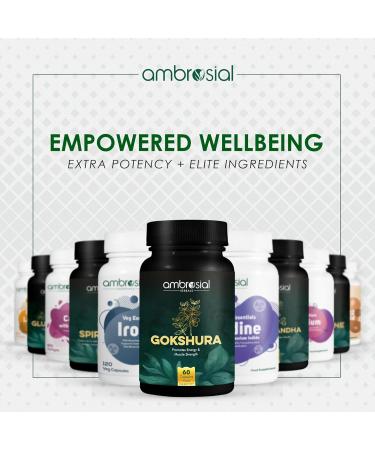 AMBROSIAL Gokshura Tribulus Terrestris High Strength 500 mg per Capsule | Tribulus Terrestris Extract Capsules for Men & Women | Herbal Supplement for Energy & Immunity (Pack of 1-60 Capsules) 60 Count (Pack of 1) - Buy Online on GoSupps.com