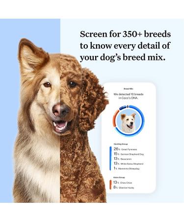 Wisdom Panel Essential Dog DNA Test Kit: Accurate Breed ID, Ancestry & Health | 25+ Conditions | Traits | Relatives - 1 Pack - Buy Online on GoSupps.com