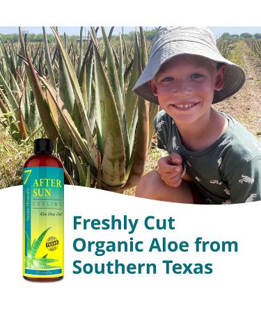 Texas Aloe Vera Cooling After Sun Gel with Cucumber & Vitamin E - Instant Sunburn Relief for Skin & Face (12 Fl Oz) - Buy Online on GoSupps.com