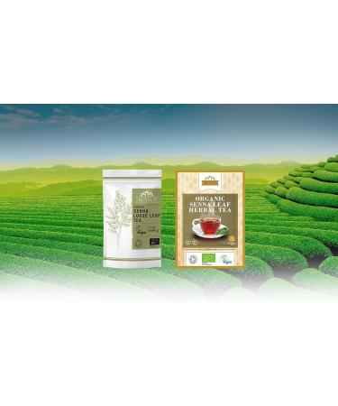 Ausha Senna Leaves Tea - 20 Tea Bags for Constipation Relief | Natural Laxative & Detox Cleanse - 20 Count Pack - Buy Online on GoSupps.com