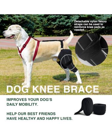 Dog Knee Brace for Torn ACL Hind Leg and Luxating Patella Dog Leg Brace with Metal Hinged Support for Better Support and Recovery Both Leg Hind Leg Luxating Patella Dysplasia Arthritis Joint Pain(Lar Large - Buy Online on GoSupps.com