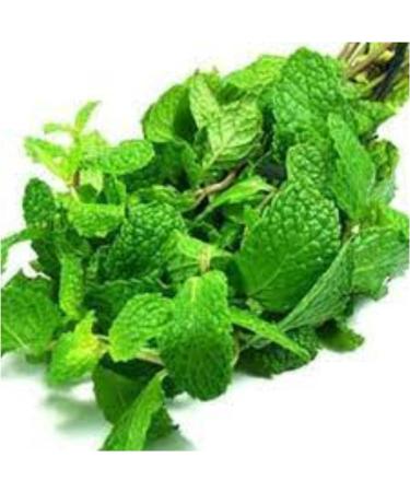 Dr. Oetker Natural American Peppermint Extract 35ml - Buy Online on GoSupps.com