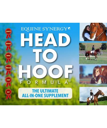 Head To Hoof Formula - Ultra Hoof Repair with Advanced Biotin Levels Healthy Joint Nutrients - Total Equine Condition in One Tub - Buy Online on GoSupps.com