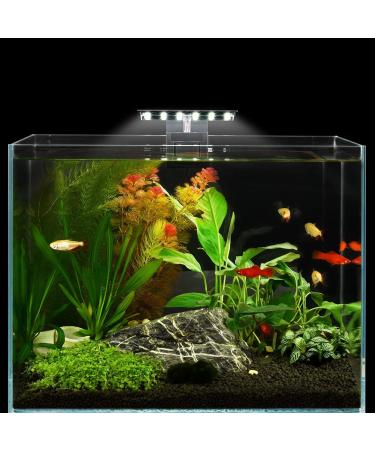 WEAVERBIRD Fish Tank Clip on Light Model-X3 Libra Aquarium Lights 6W 12 LEDs Planted Lamp for 6mm Thick Fish Tanks - Buy Online on GoSupps.com