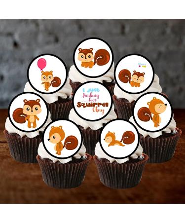 24 Squirrel Edible Cake Decorations Cute Squirrel Cupcake Toppers Woodland Animals Wild One Animal Cake Toppers Woodland Party Decorations Woodland Baby Shower Decorations Farm Cake Toppers - Buy Online on GoSupps.com