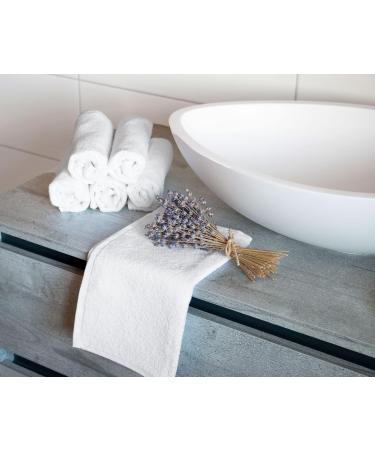 Zollner 10 Set Guest Towels - Strong & Soft Cotton 30x50 cm - Hotel Quality White Towels with Hanger - Washable up to 95 C - Ideal for Home & Hospitality - Buy Online on GoSupps.com