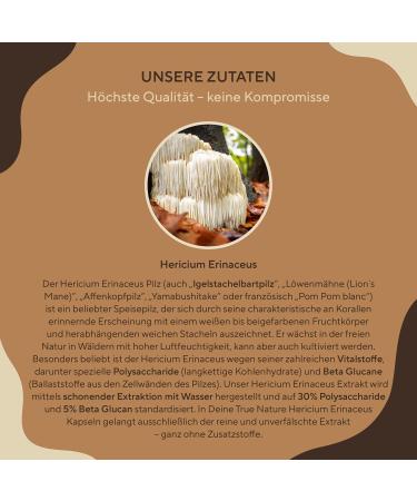 Lions Mane Mushroom 360 Capsules - 30:1 Extract 60 000mg Vegan Lab Tested - True Hericium Erinaceus - Made in Germany - Buy Online on GoSupps.com