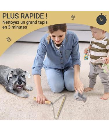 2024 XXL Reusable Manual Razor & Lint Remover - Perfect for Carpets Sofas & Cars - Effectively Removes Pet Hair Dust & Debris - 24cm Size - Buy Online on GoSupps.com