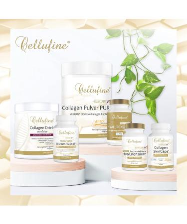 Buy Cellufine Premium Verisol Collagen Powder 300g - Natural Bioactive Collagen Peptides for Beauty | 120 Portions High Bioavailability Preservative-Free - Buy Online on GoSupps.com