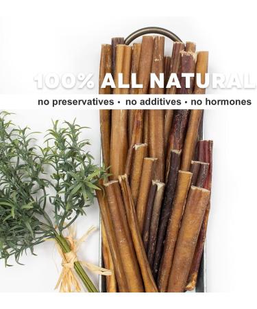 Downtown Pet Supply 6-inch Bully Sticks for Dogs Pack of 10 - Single Ingredient Nutrient-Rich and Odor Free Bully Sticks for Dogs - Rawhide Free Dog Chews Long Lasting and Non-Splintering - Buy Online on GoSupps.com