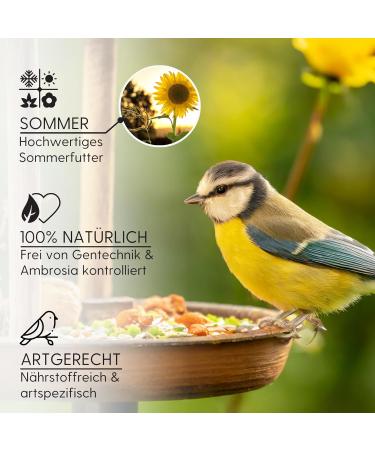 Fleim ller 5kg Premium Bird Feed for Wild Birds - Summer Special with Black Sunflower Seeds & Mealworms - Extra Energy & Dust-Free 1 Pack - Buy Online on GoSupps.com