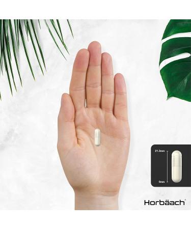 Nootropic Brain Supplements | 180 Vegan Capsules | Cognitive Complex Enhancer for Mental Performance, Focus & Energy - Horbaach - Buy Online on GoSupps.com
