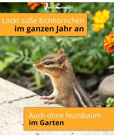 Leim ller Species-Appropriate Squirrel Food | 5kg Year-Round Feed | Dust-Free & Controlled | Made in Austria - Buy Online on GoSupps.com