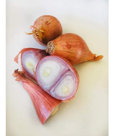 Jumbo Size Kejora Shallots Bulbs - 1/2 lb (4-6 bulbs) | USA Grown - Non-Planting - Buy Online on GoSupps.com