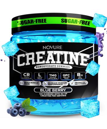 Creatine Monohydrate Gummies 5000mg Advanced Muscle & Focus Blend with Alpha GPC B12 & Taurine Vegan Sugar-Free Blueberry & Raspberry Flavors Made in USA 120 Gummies (30 Servings) Blueberry 1 Count (Pack of 120)