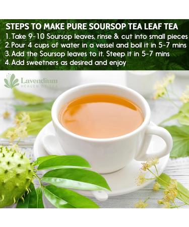 Lavendium 120+ Premium Soursop Graviola Dried Leaves 120-140 Natural Leaves Whole Soursop Leaves Wildcrafted Graviola Soursop Hoja Guanabana Soursop Loose Leaf Herbal Tea No Gluten Vegan Soursop Leaves 120 Bags - Buy Online on GoSupps.com