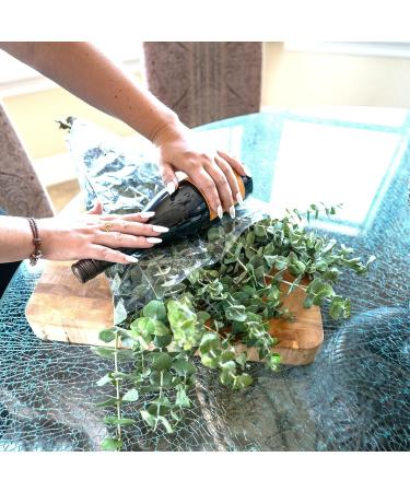 Real Fresh Eucalyptus Large Shower Bundle - 100% Natural Handpicked Leaves for Aromatherapy | Stress-Relieving Indoor Plant Decor - Buy Online on GoSupps.com