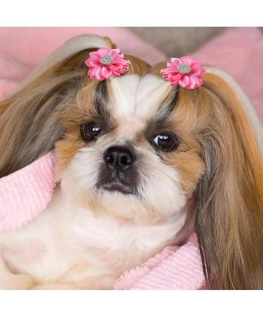 40 Pcs Flower Dog Hair Bows with French Barrette Clips - Puppy Grooming Accessories for Small Dogs & Cats - Pet Birthday Party Hair Flower Topknot - 20 Colors - Buy Online on GoSupps.com